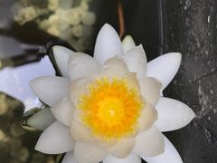-客家大院·非遗赣南客家菜(郁孤台店)