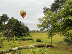 -中国科学院西双版纳热带植物园