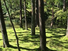 -西芳寺(苔寺)