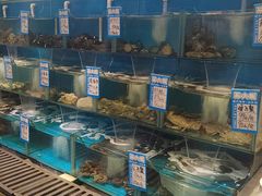-苏大嘴蒸汽海鲜·海胆蒸饺(中山广场店)