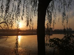 -艾溪湖湿地公园