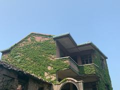 -枸杞岛