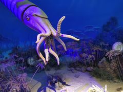 -国家自然博物馆