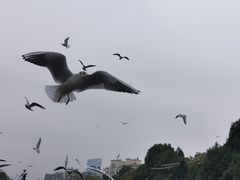 -昆明动物园