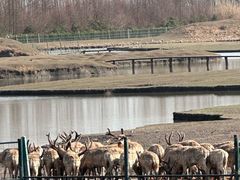 -溱湖国家湿地公园