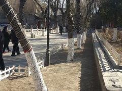 -文瀛公园