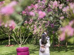 -杭州城北体育公园