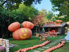 -HERRE·FARM 赫尔露营农场·团建聚会包场