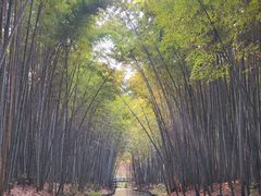 -同里国家湿地公园