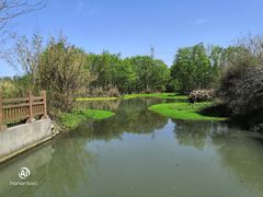 -桤木河湿地公园