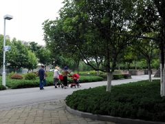 -白塘生态植物园