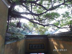 -普陀山慧济禅寺