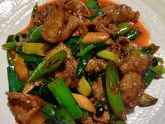 蒜苗回锅肉-永乐饭店