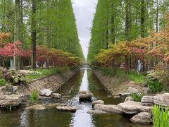 -东平国家森林公园