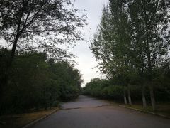 -永定河休闲森林公园