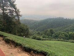 -敬亭山风景名胜区