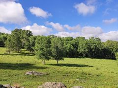 -御道口草原森林风景区