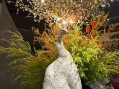 -滇野云南野生菌餐厅(陕西南路店)