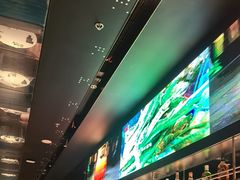 -凤凰湘语(浦东旗舰店)