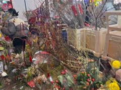 -越秀西湖花市(广州城市广场花卉店)