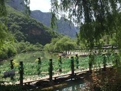 -云台山风景名胜区