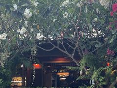 -Phensiri Thai Restaurant