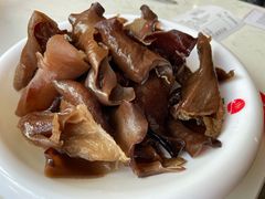 木耳-蜀滋香鲜鱼美蛙火锅(339店)