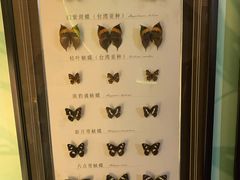 -蝴蝶泉公园