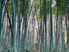 -南京市无想山景区