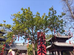 -钱王祠