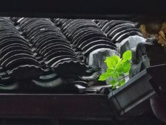-上海三山会馆