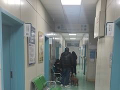 -北京观赏动物医院·24小时大型综合·猫专科·异宠专科