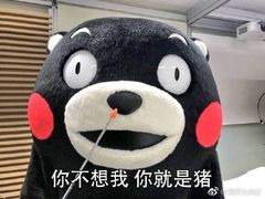 -新世界教育iVEE·英语日语西语(金桥校区)