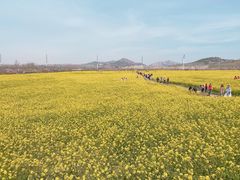 -西海岸生态观光园