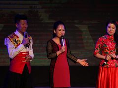 -陕北民歌大舞台