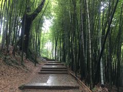-西湖风景区十里琅珰-五云山