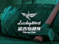 -金吉鸟健身游泳