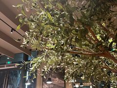 -Wagas沃歌斯(信泰中心商场店)