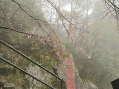 -庐山恋影院(河西路店)