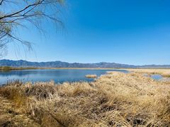 -野鸭湖国家湿地公园