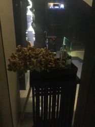 -奈瑞儿美养院