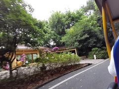 -白云山风景名胜区