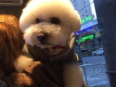 -八公叔叔宠物美容连锁(春申店)