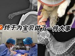 -瑞鹏·疫苗·绝育·宠物医院(广九店)