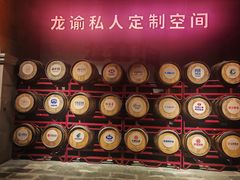 -龙谕酒庄