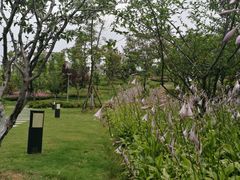 -中国银行江苏省分行培训中心