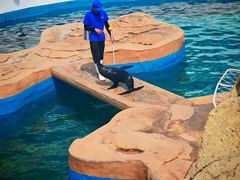 -秦皇岛乐岛海洋王国