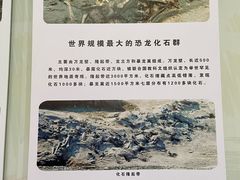 -诸城市恐龙博物馆