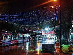 -老街冷水鱼烧烤(河堤夜市店)