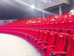 -保利国际影城(保利文化广场店)